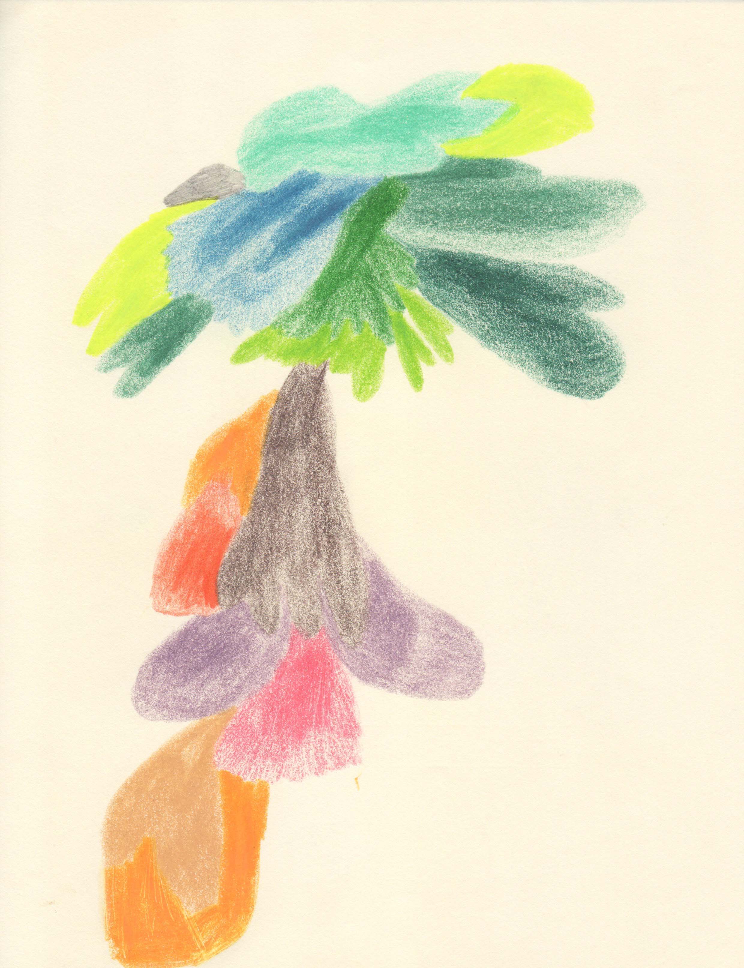 color-pencil